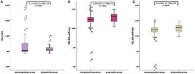 Pre-Immunotherapy Contrast-Enhanced CT Texture-Based Classification: A Useful Approach to Non-Small Cell Lung Cancer Immunotherapy Efficacy Prediction